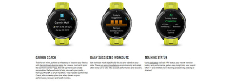 Garmin Forerunner 965 Smartwatch