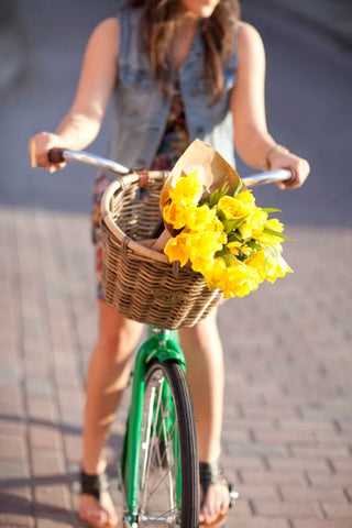 Nantucket Bike Co. Tuckernuck Bicycle Basket