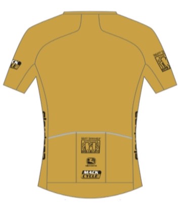 "The Gold Standard" -  Men's Giordana Vero Forma Lyte Low Collar Cycling Jersey