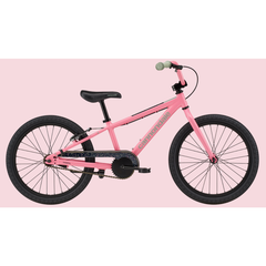 Cannondale Trail Single-Speed 20" Kid's Bike