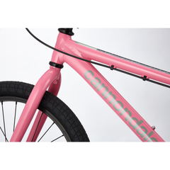 Cannondale Trail Single-Speed 20" Kid's Bike