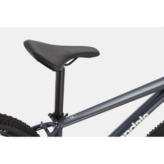 2021 Cannondale Trail 6 Disc Mountain Bike - Slate Gray