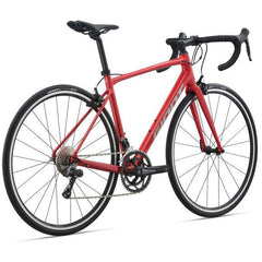 2021 Giant Contend 3 Rim Brake Road Bike