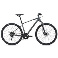 2021 Giant Roam 2 Disc Mountain Bike