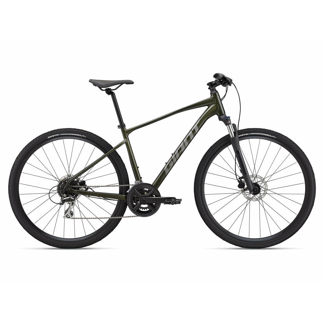 2022 Giant Roam Disc 3 Mountain Bike