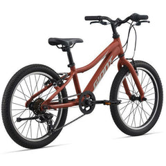 Giant XTC Jr 20 Inch Lite Kid's Bike