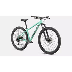 2021 Specialized Rockhopper Comp 29 Mountain Bike - GlossOasisMint/TarmacBlack