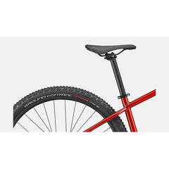 Specialized Rockhopper Elite 29 Mountain Bike